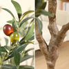 Olive Trees Artificial Indoor, 7Ft Artificial Olive Plants, Tall Faux Olive Tree, Fake Topiary Silk Tree in Pot with Olive Branch & Fruit, Home Office Modern Decor Gift for Housewarming 1Pack