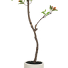 Artificial Orange-Leaved Tree in White Pot
