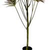 Artificial 71inch Lily Bamboo Floor Plant in Pot Potted Nordic Ins Style