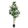  Artificial 71inch Ficus Trees with Realistic Leaves And Natural Trunk, Faux Ficus Tree with Sturdy Plastic Nursery Pot