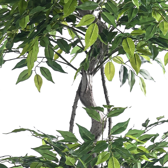 Indoor Artificial Ficus Tree, Fake Silk Plant with Leaves, Sturdy Flower Pot