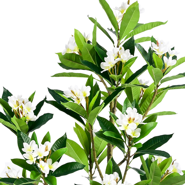 Artificial 51inch Plumeria Trees in Black Pot Real Touch Lifelike Hawaiian Foam Frangipani Flower Tree