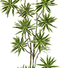 The decorative artificial Dracaena potted plant 78inch stands out with its glossy leaves and adds a tropical touch to your space