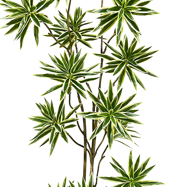 The decorative artificial Dracaena potted plant 78inch stands out with its glossy leaves and adds a tropical touch to your space