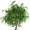 Ficus Tree, Artificial 75inch Plants Indoor with Pot,Indoor Faux Tree for Home Office Decor