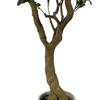 Artificial Olive Tree 83inch Tall Imitation Silk Plant, Fake Potted Olive Silk Tree for Home Office Decoration