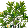 Artificial 83inch Plumeria Trees in Black Pot Real Touch Lifelike Hawaiian Foam Frangipani Flower for Wedding Party Decoration