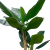 Artificial 63 Inch Banana Tree Plant Home Decor Tree