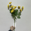 Artificial Long Stem Bright Yellow Ranunculus, Multi-Bloom with Green Foliage