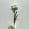 Single Stem Artificial Daffodil, Cream White with Yellow Center