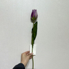 Artificial Lavender Purple Tulip Stem