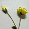 Artificial Yellow Poppy Stem, Double Bloom with Foliage