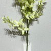 Artificial Two-Tone Green & White Star Flower Branch, Long Stem with Green Foliage