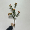 Artificial Two-Tone Orange & Green Berry Branch, Long Stem with Foliage