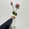 Artificial Pink Poppy Stem, Long Stem with Foliage