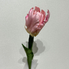 Artificial Frilly Blush Pink Parrot Tulip Stem