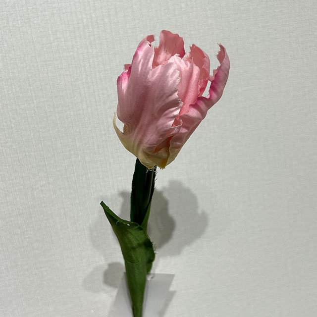 Artificial Frilly Blush Pink Parrot Tulip Stem