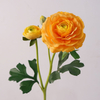 Artificial Ranunculus Stem Bundle (8 Color Options)