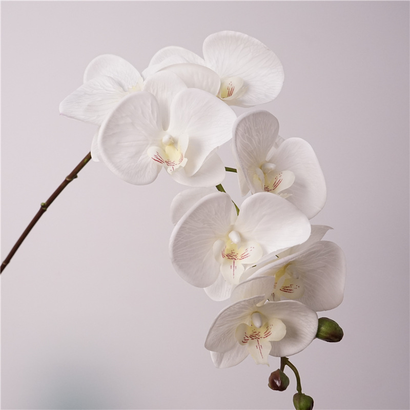 QH26S04016A.jpg