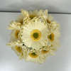 Artificial Cream White Gerbera Daisy Stem Bundle