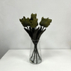 Artificial Olive Green Fringed Tulip Stem Bundle