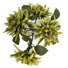 Artificial Vintage Olive Green Spider Dahlia Stem Bundle