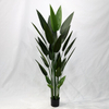 Artificial Philodendron Tree (Faux Bird of Paradise / Strelitzia reginae with Large Sword-Shaped Tropical Leaves)