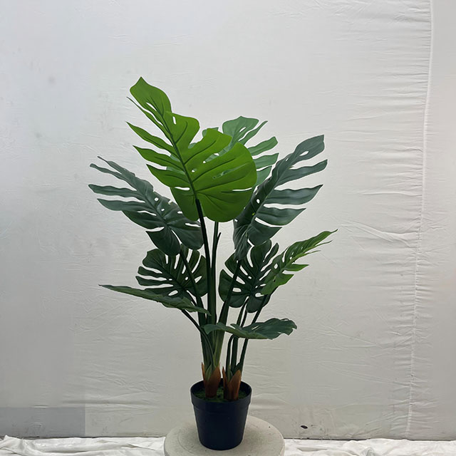 QH27G3065 龟背树高85cm9杆9叶.jpg