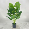 Artificial Philodendron Tree (Faux Elephant Ear Philodendron with Large Tropical Leaves)