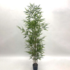 Artificial Bamboo Tree (Faux Lucky Bamboo / Phyllostachys Bamboo Tree)