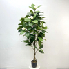 Artificial Magnolia Tree (Faux Magnolia grandiflora / Southern Magnolia Tree)