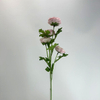 4-Head Single Stem Artificial Ranunculus, Blush Pink Ombré