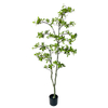 Artificial 59inch Plant Tree Indoor Simulation Plant Fake Tree Green Plant Potted Plant 