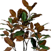 Artificial Magnolia Tree 63 Inches Tall - Green Silk Potted Artificial Indoor Magnolia Tree
