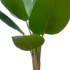 Artificial Banana Tree 63Inch Banana Leaf Plant, Tropical Style Large Artificial Plant
