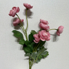 Artificial Long Stem Pink Ranunculus, Multi-Bloom with Green Foliage