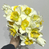 White Petal with Bright Yellow Ruffled Center,Artificial Daffodil Bouquet