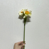 3-Head Single Stem Artificial Daffodil, Cream White with Orange-Yellow Ruffled Center