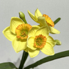 3-Head Single Stem Artificial Daffodil, Light Yellow with Orange Ruffled Center