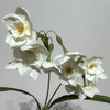 Artificial Long Stem Pure White Daffodil, Multi-Bloom with Pale Yellow Ruffled Center