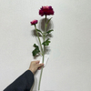 Artificial Gradient Pink-Purple Ranunculus Stem