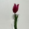 Artificial Deep Magenta Tulip Stem