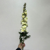 Artificial Cream White Delphinium Stem