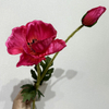 Artificial Fuchsia Pink Poppy Stem, Double Bloom with Foliage