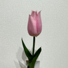 Artificial Blush Pink Tulip Stem