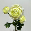 Artificial Cream-White Multi-Bloom Ranunculus Stem