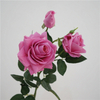Artificial Multi-head Rose Stem Bundle (7 Color Options)