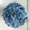 Artificial Sky Blue Hydrangea Stem Bundle