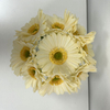 Artificial Cream White Gerbera Daisy Stem Bundle
