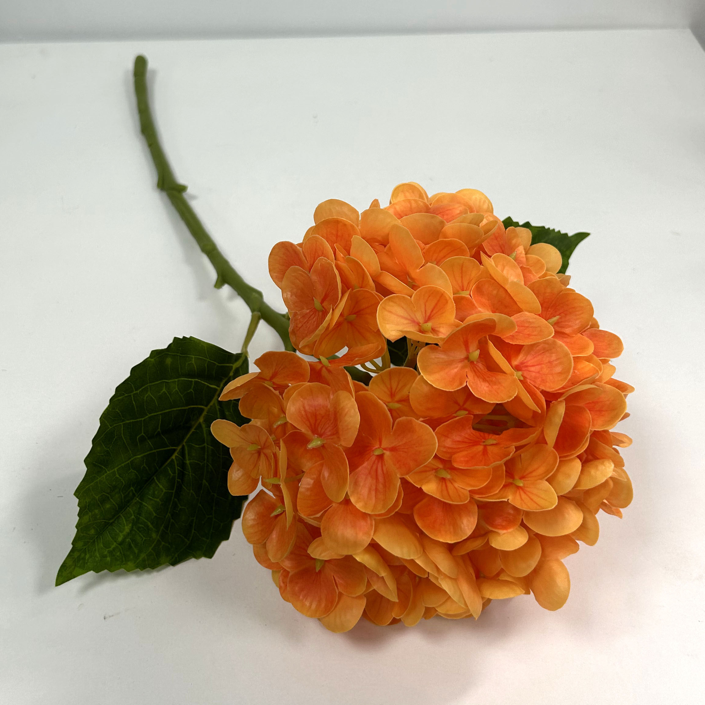 QH26327073 004.jpg